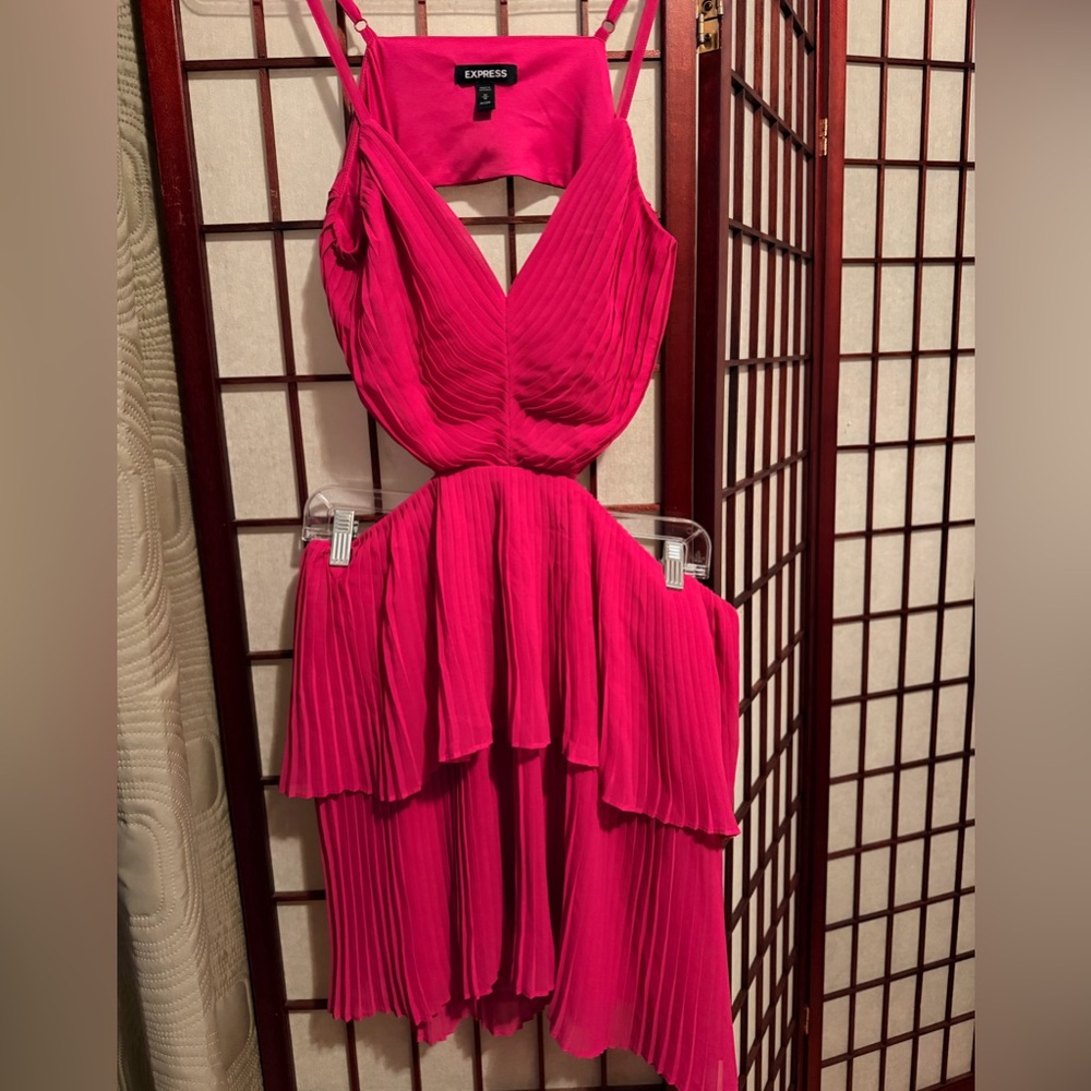 Express Fuchsia Pleated Dress